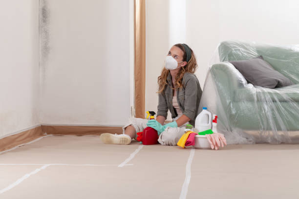 Reliable Black Mold Removal contractor in Davidsonville, MD by WQB Mold Removal